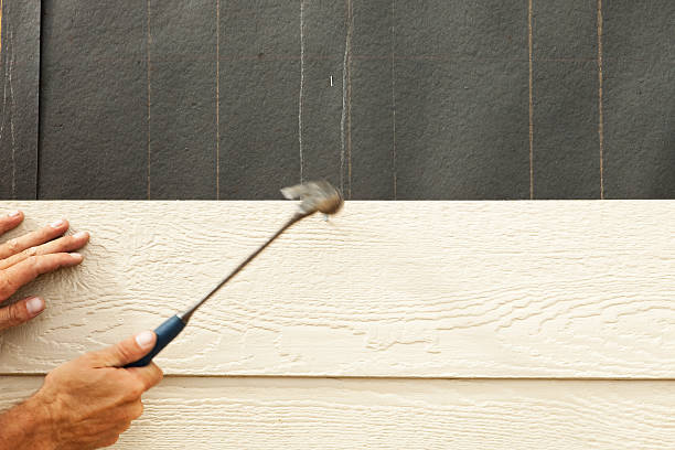 Best Fiber Cement Siding Installation  in Glenwood, IA